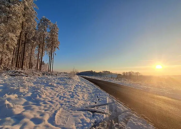 Апартаменты Gebirgsresort Schanzenpanorama 1 4 1 Винтерберг